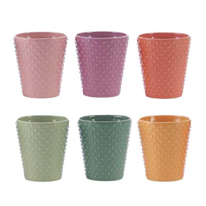 VASO PHALENO MIX COLOR H.14.2
